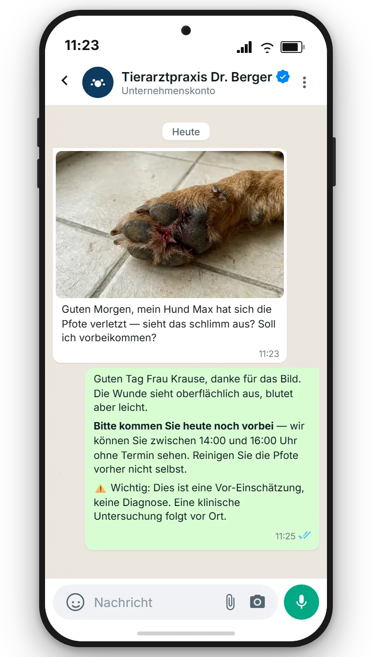 WhatsApp-Foto-Triage: Halter sendet Foto einer Wunde, TFA gibt Einschätzung