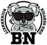 BN Sicherheit
